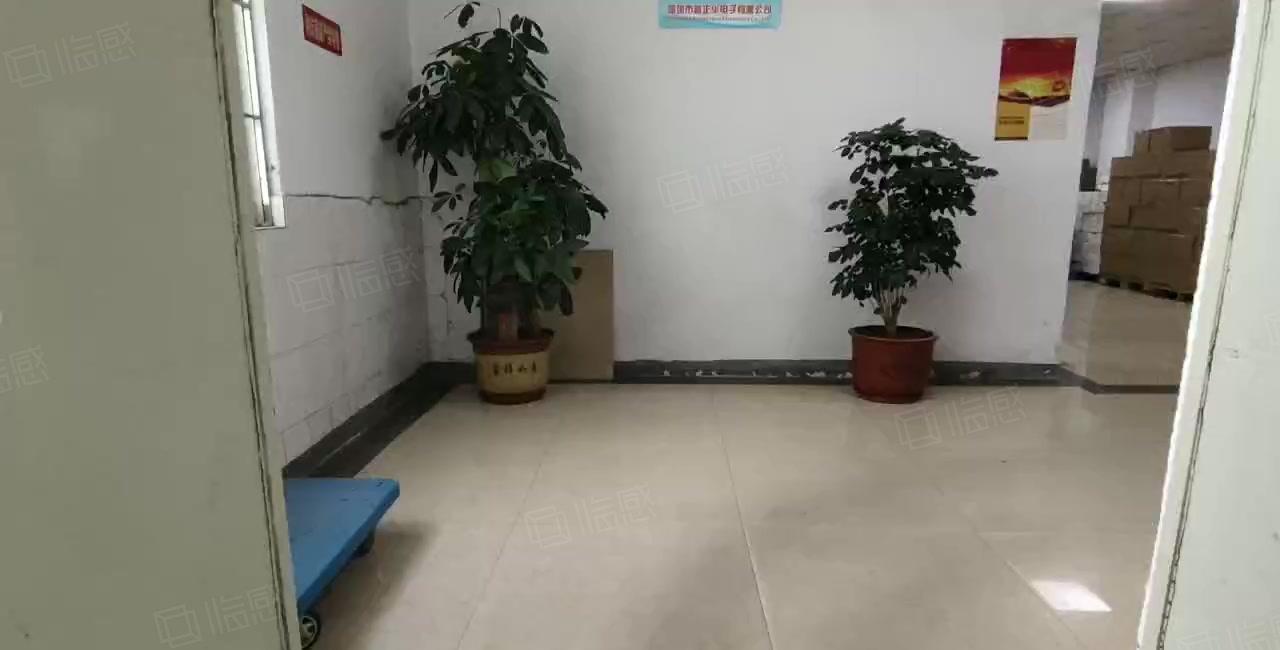 西乡鹤洲，桃源居附近，带装修728平厂房仓库出租，拎包生产