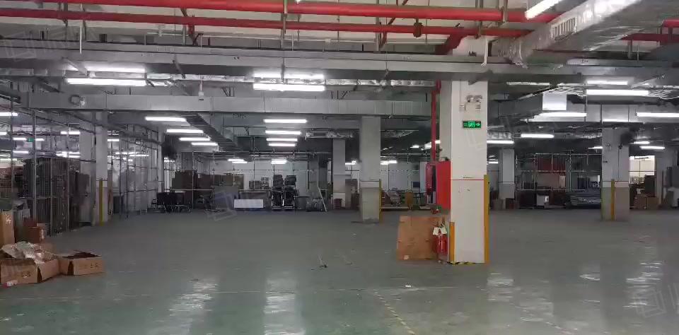 福永一楼2550平带卸货平台适合仓储物流，带港车码