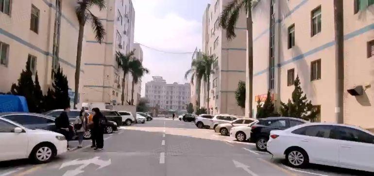 石岩原房东红本一二楼2000平厂房出租仓库出租，200平起分