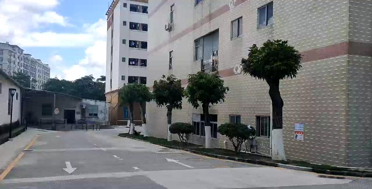 沙井工业园2300平厂房出租可分租带装修独院一楼仓库出租