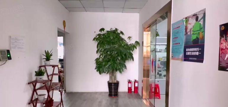 西乡固戍工业园500平精装修电商贸易仓库厂房出租可分租