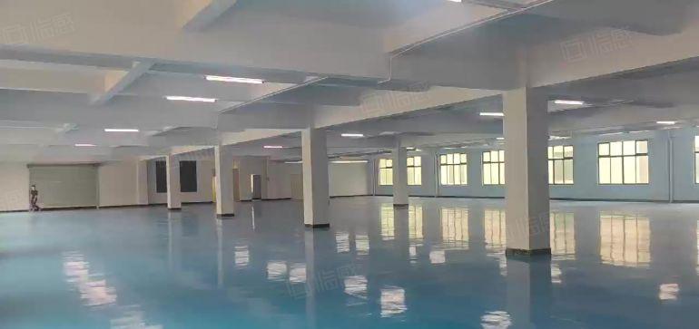 企石新出楼上厂房出租实际面积7元全新地坪漆水电齐全交通便利