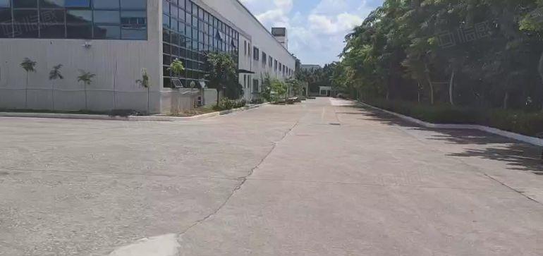 谢岗重工业单一层钢结构仓库厂房出租3000平方带牛角低价甩租