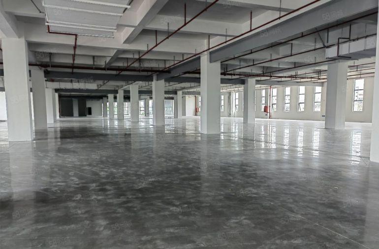 水口新区4500原房东全新红本食品厂自有厂房出租