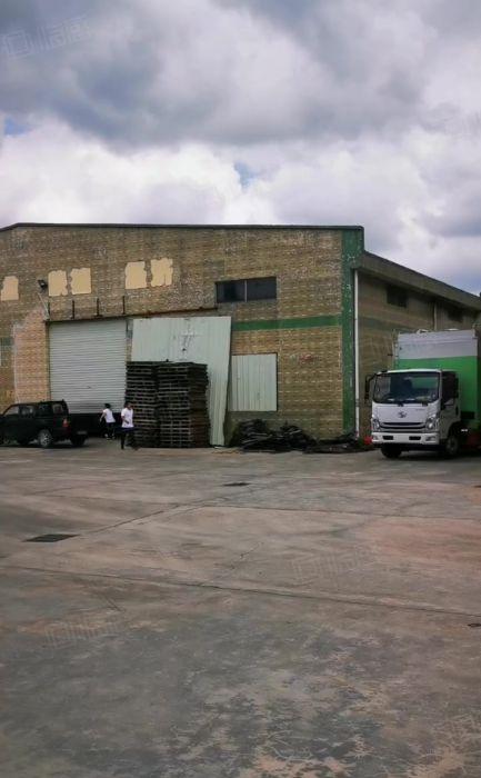 新圩长布工业区新出单一层钢构800平层高10米厂房低价出租