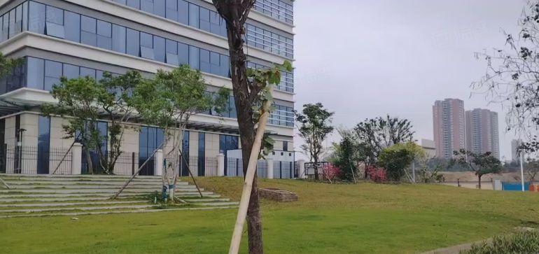 大亚湾临深全新工业区500平方起厂房仓库租免组5个月
