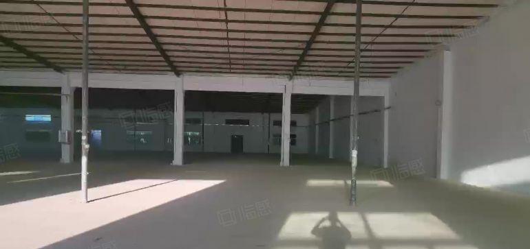 10块钱单一层独院！园洲原房东厂房仓库出租4800平，可分租