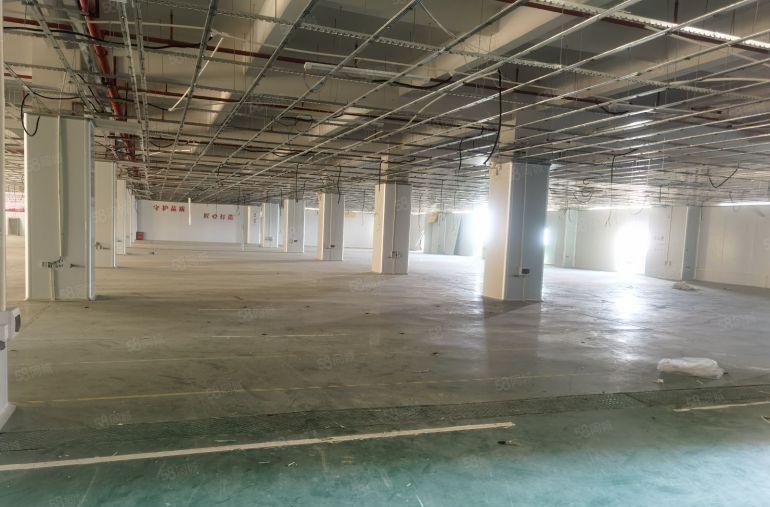 博罗罗阳街道形象好工业厂房出租面积20000平可分租