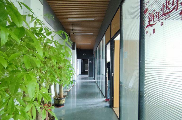 观澜带装修厂房出租650平方 20元使用率高