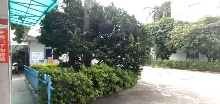 龙华清湖原房东独院10米钢构厂房出租10000平，仓库可分租