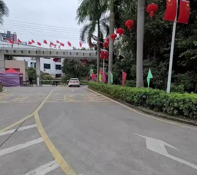 龙华大浪原房东红本厂房出租精装修500平办公仓库一体出租