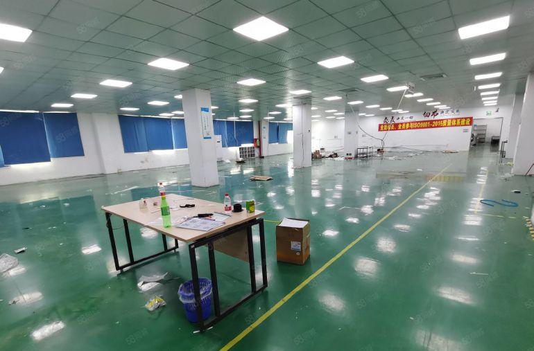 20元起龙华清湖地铁口原房东工业园新出2150平厂房出租分租