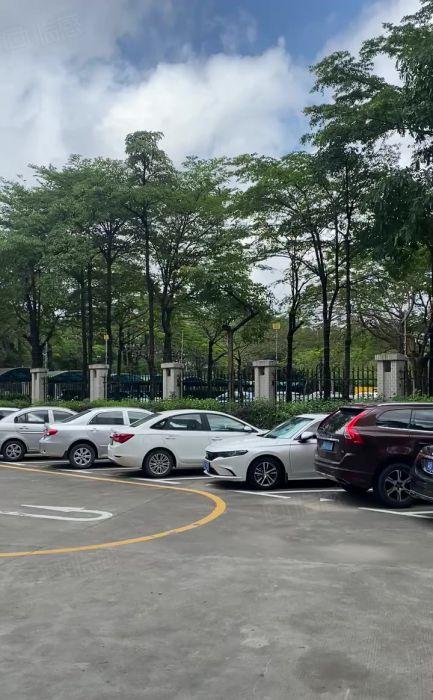 龙华大浪一楼厂房480平出租，一整层使用率高，层高6米