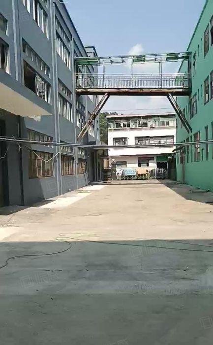 龙华大浪商业中心附近新出7个独门独院总面积2万平小1600