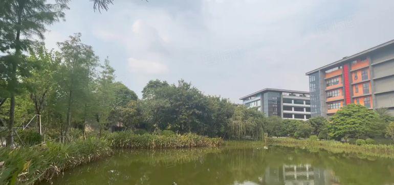 龙华民治 独门独院8000平研发办公厂房出租500起租