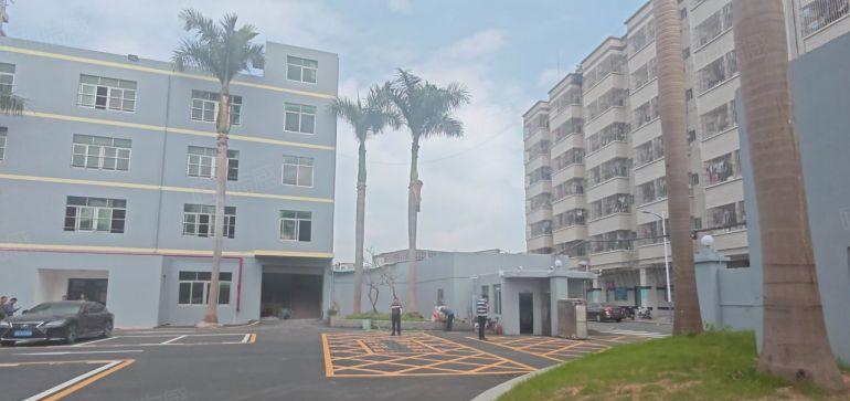 观澜牛湖原房东独门独院厂房出租电商一楼仓库300平起可分租