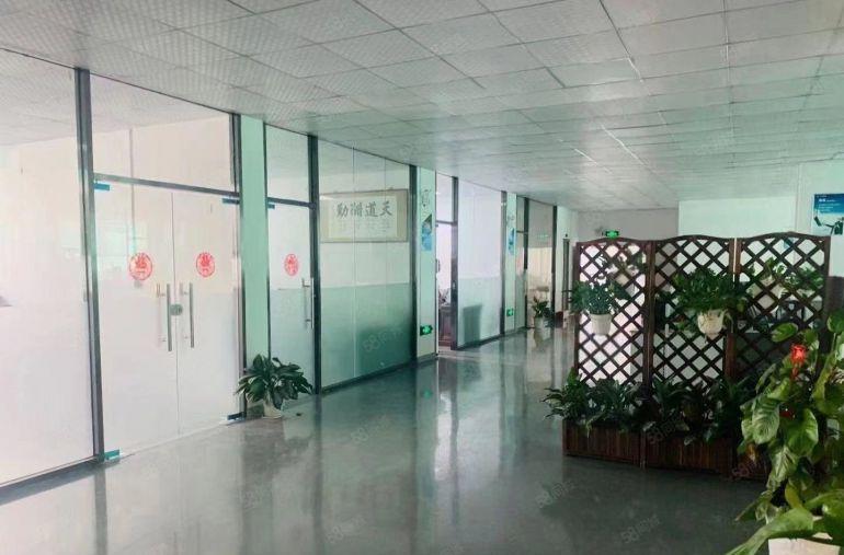 观澜桂花原房东红本厂房1800平精装修实际面积出租大小可分租