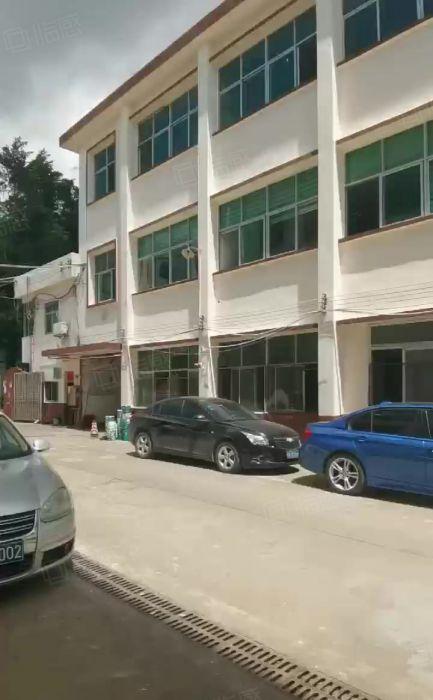 观澜地铁口50米开发商230平一楼标准厂房低价出租