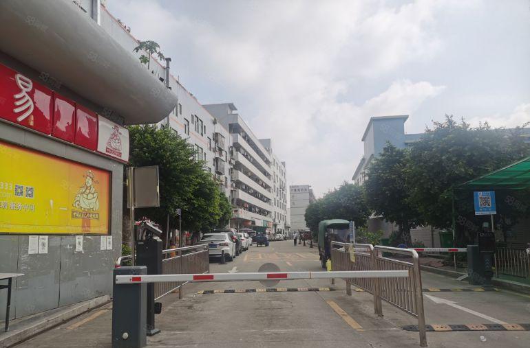 龙华清湖地铁站楼上200平精装修