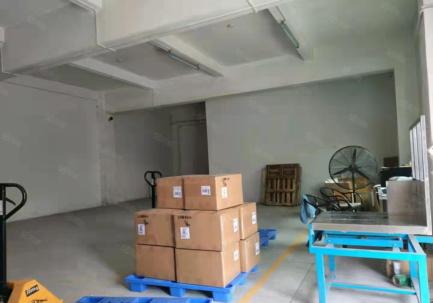 龙华天虹商场附近新出一楼300平带办公室厂房出租