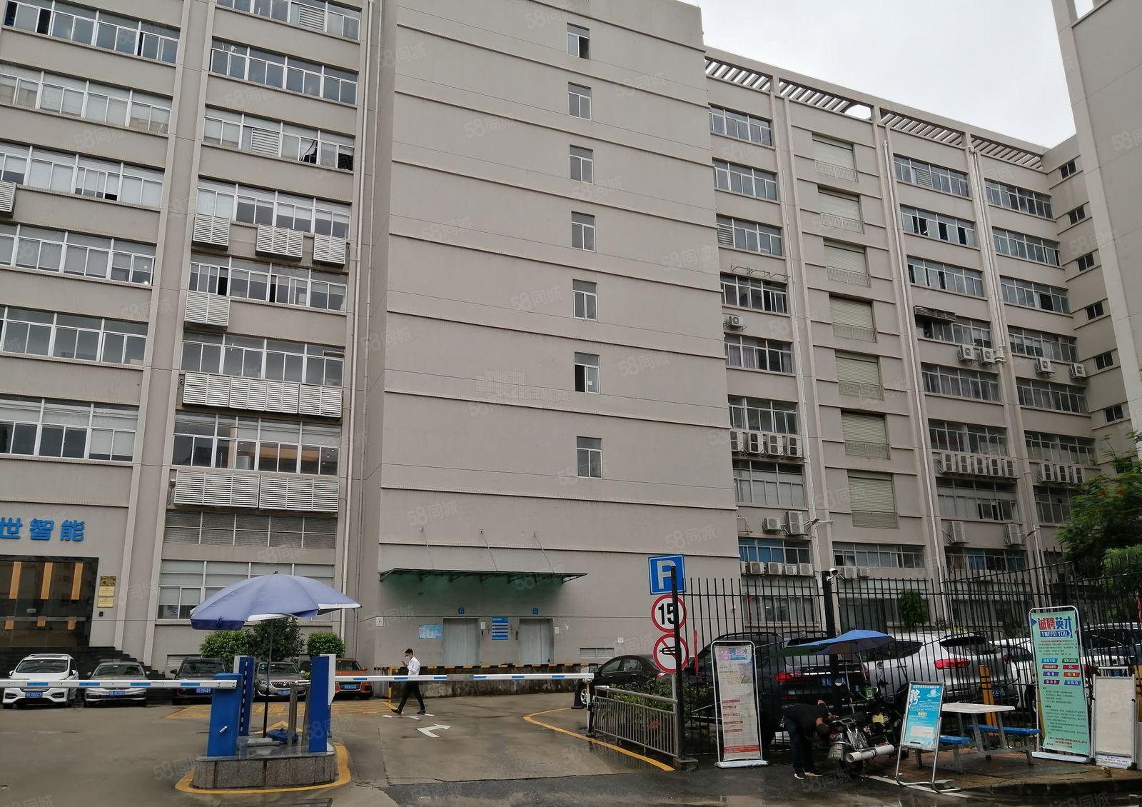 高新园区带红本二楼4800平带喷淋卸货平台带装修