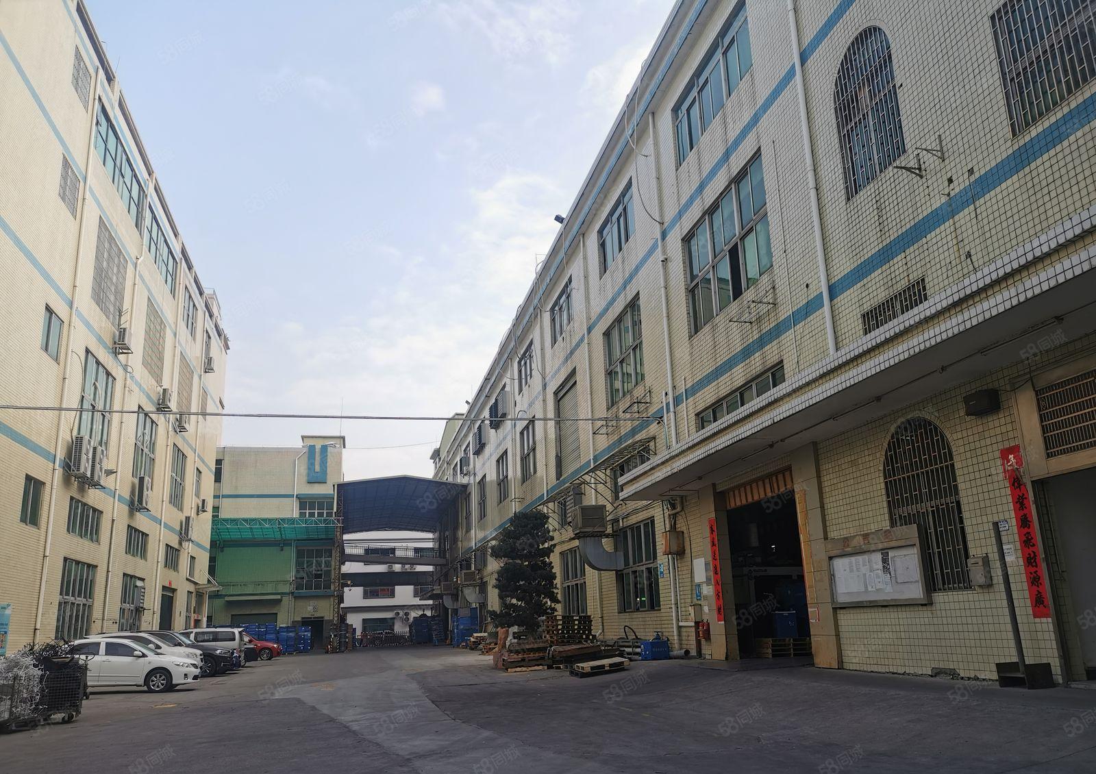 观澜环观南路边樟坑径大型园区楼上带简单装修厂房出租1266平