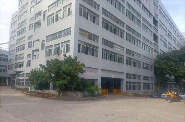 龙华一楼厂房仓库 层高6米 承载1吨每平米 火热直租