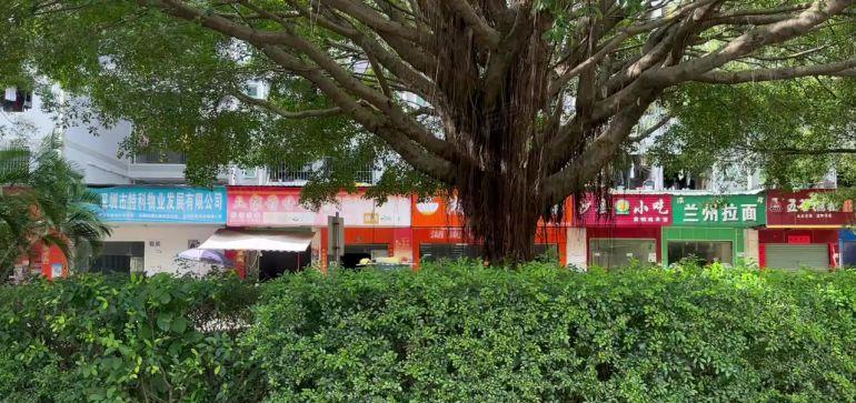 龙华大浪大型产业园楼上精装厂房出租900平，500起租！