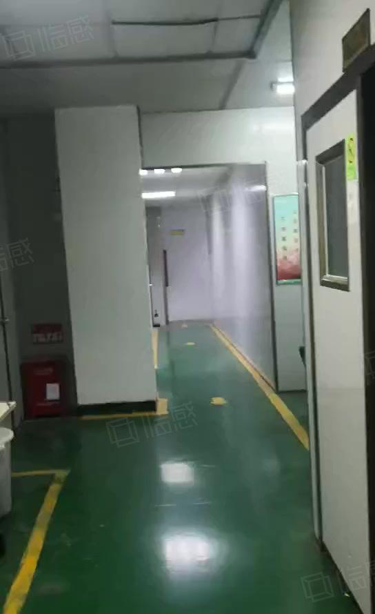 深圳龙华大浪商业中心附近3楼720平精装无尘车间厂房出租。