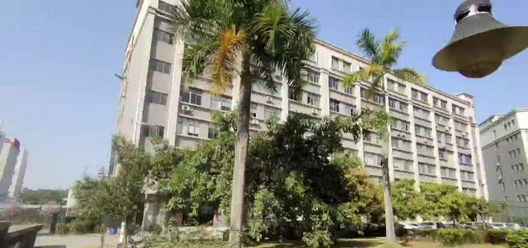 观澜樟坑原房东红本1000标准厂房出租 现成办公室跟车间