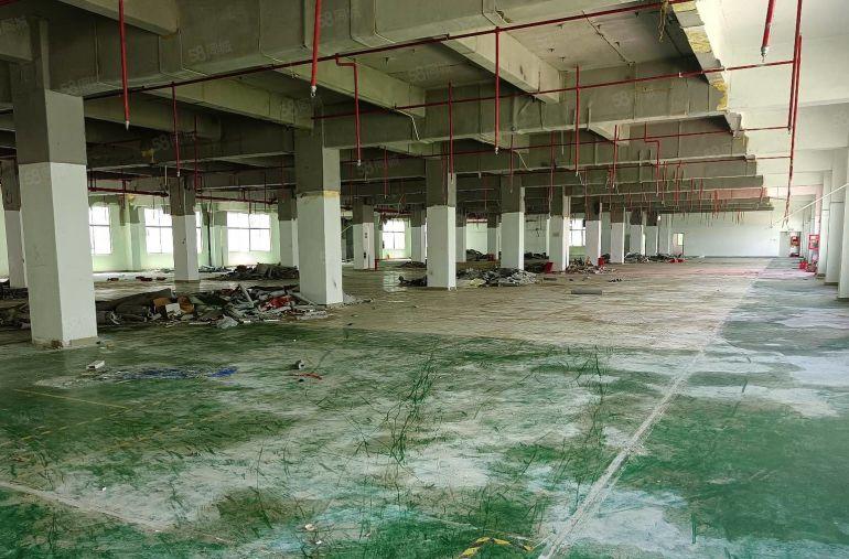 200平起租 观澜原房东红本工业园2000平一楼厂房低价出租