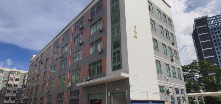 龙华大浪厂房一楼楼上200平起租精装修研发办公室电商仓库出租