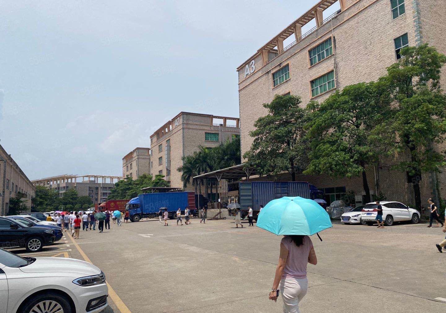 龙华大浪精装修1000平厂房出租带有红本能办环评可分租