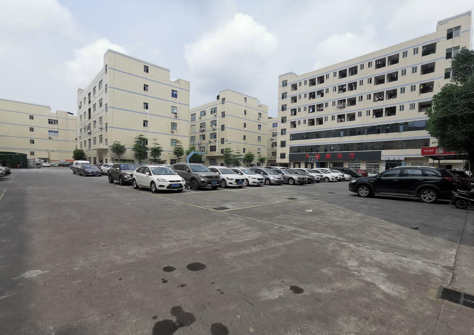 龙华大浪工业园1100平带精装修办公室仓库一楼厂房出租可分租