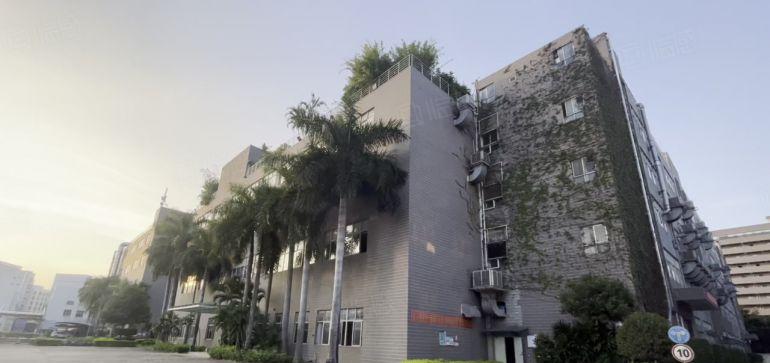 龙华民治800平精装修厂房仓库出租价格好谈园区形象好空地大