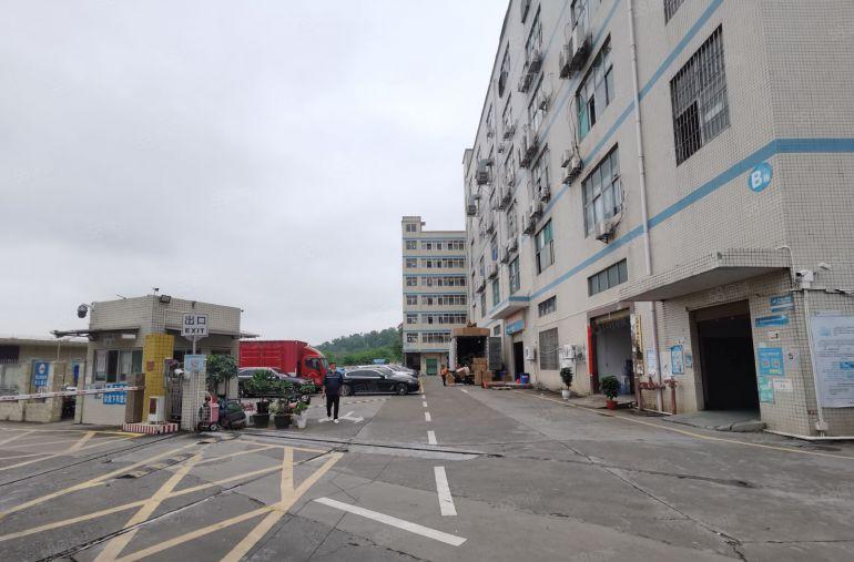观澜樟坑径下围工业区楼上厂房出租，可分租1350平米水电齐全