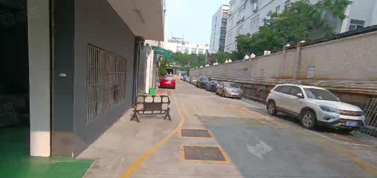 龙华油松一楼厂房仓库310平 全新地坪漆