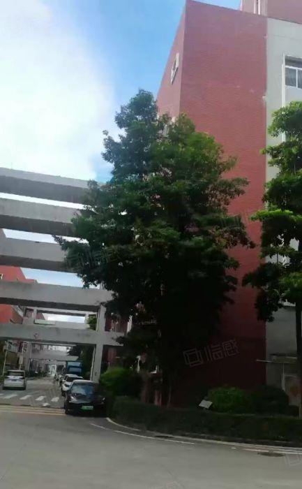 大浪高新园红本独栋37000平厂房仓库出租带无尘车间可分租