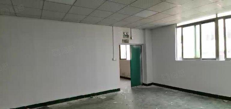 深圳龙华厂房大浪出租办公仓库2000平超大空地整租分租工业园