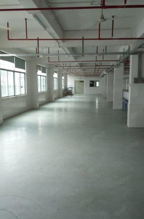 业主出租龙华河背工业区（一楼）450平米工业厂房