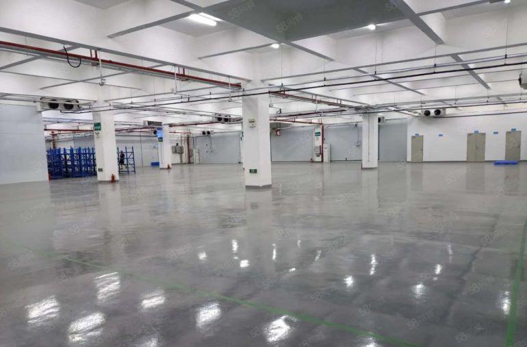 赠！免租期 龙华大浪新出标准厂房 大小面积可分 厂房仓库出租
