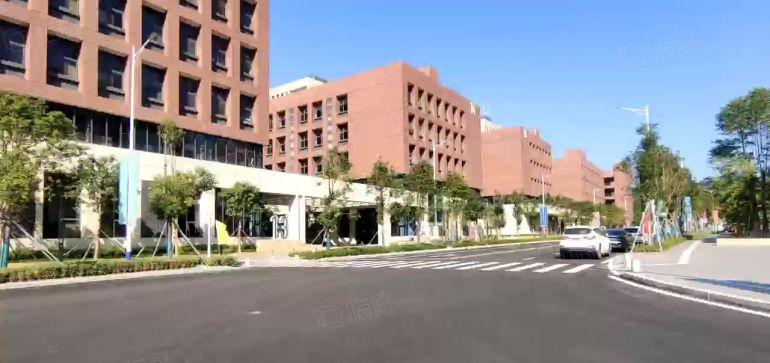龙华中心区主干道边可以买的厂房50年独立红本产权，交通方便