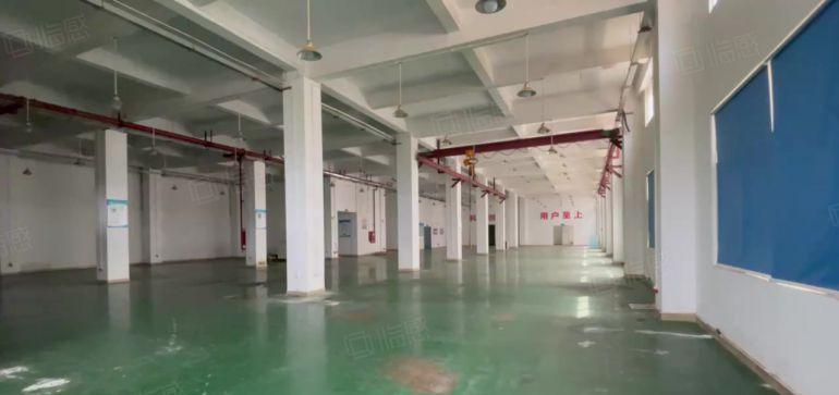 龙华观澜工业园200平方至1000平方低价一楼仓库厂房出租
