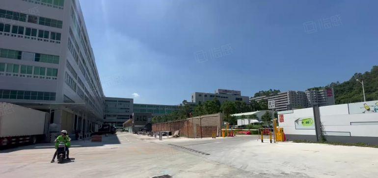 大浪商业中心旁原房东无尘车间厂房出租2000平无转让费水电齐
