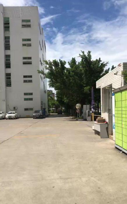 可分租观澜科技园楼上新出2000平带精装修办公室仓库厂房出租