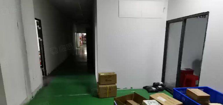 22元起租龙华大浪工业园新出楼上带装修1250平厂房出租分租