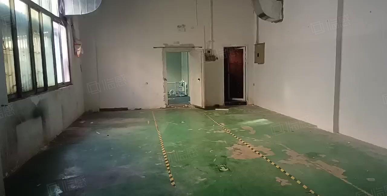 龙华汽车站附近新出一楼标准厂房1300平出租