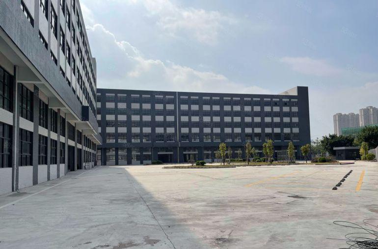 仲恺陈江新出楼上1000平现成办公室仓库厂房低价出租