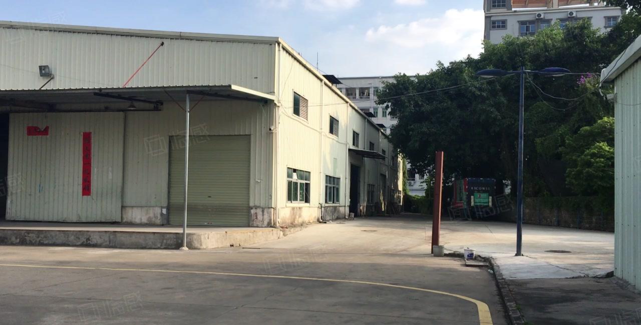 平湖清平高速出口2百5百8百1千平独栋钢构仓库厂房出租可分租