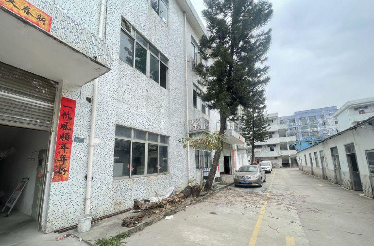龙岗坪地坪东300 平方独门独院厂房出租,园区空地大,可分租